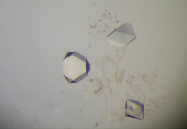crystals from nucleants